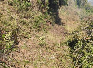 Skopelos Trekking Hiking