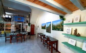 Σκοπελος Πολιτιστικό Κέντρο Γλώσσας, Κέντρο Πολιτισμού Σκοπέλου, Κέντρο Τέχνης, Εκθέσεις Εργαστήρια Τέχνης, Πολιτιστικές Εκδηλώσεις