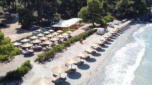 Skopelos Ftelia Beach Bar