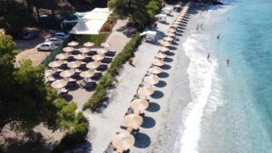 Skopelos Ftelia Beach Bar