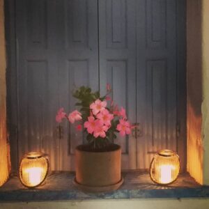 Skopelos The Little Coffee Shop 08