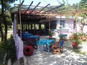 Skopelos Milia Restaurant 5