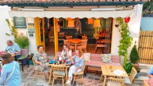 Skopelos Soya Asian Mexican Food