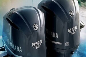 Skopelos Dimitris Kosmas Service