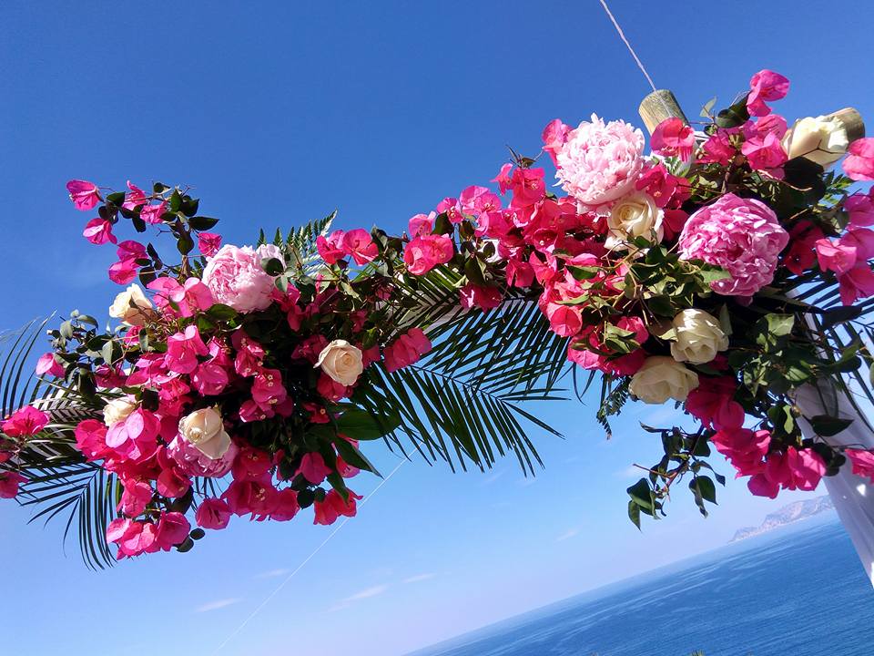 Roses, Ειρήνη Κόλλια