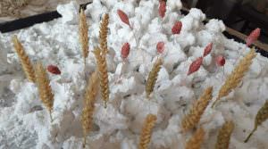 Skopelos Glossiotissa Women Association