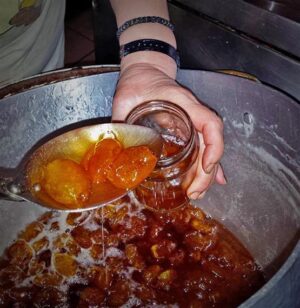 Skopelos Foyrnos Kyra Leni 4