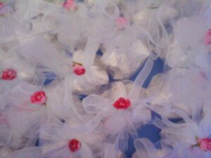 Skopelos Nisiotissa Glossa Local Products