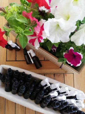 Skopelos Ktima Stamatiou Stamatiou Estate Bio Honey Local Products