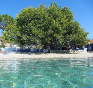 mouria skopelos, mouria taverna di pesce skopelos, mouria agnontas