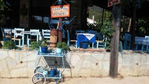 taverna vasiliki panormos, panormos skopelos, tavernas panormos skopelos