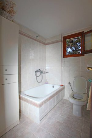 Skopelos Aeraki Apartments