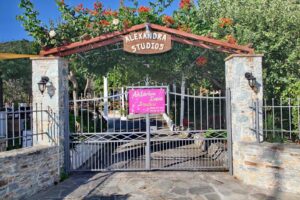 Alexandra Sofia Studios