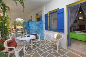 Alexandra Sofia Studios