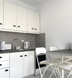 Skopelos Andromachi Luxury Apartment Glossa Accommodation