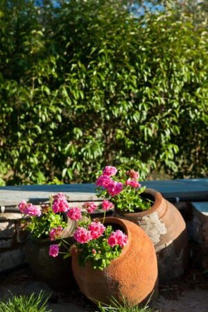 Aretousa Studios & Apartments