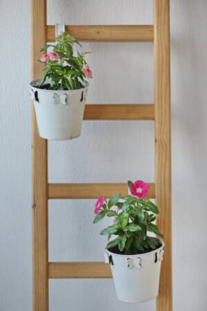 Skopelos Esperides Apartments Aigli