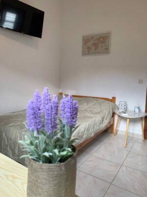 Skopelos Inn Rooms Apartments Stafylos Stafilos