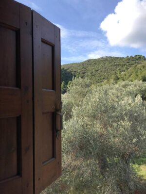 Skopelos Inn Rooms Apartments Stafylos Stafilos