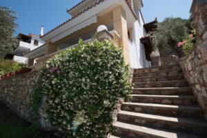 Skopelos Niki Apartments Panormos