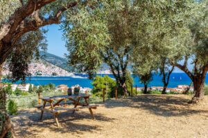 Skopelos Olive Grove Apartment