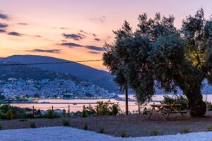 Skopelos Olive Grove Apartment