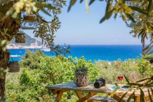 Skopelos Olive Grove Apartment