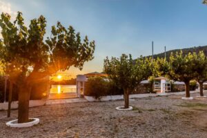 Skopelos Psarrianos Apartments Beachfront Panormos