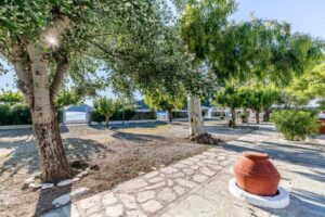 Skopelos Psarrianos Apartments Beachfront Panormos