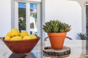 Skopelos Sea Senses Apartments