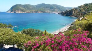 Skopelos Sergiani Apartments Studios