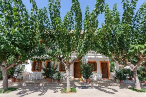 Skopelos Smaragdi Rooms Studios Stafylos