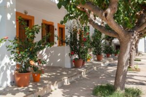 Skopelos Smaragdi Rooms Studios Stafylos