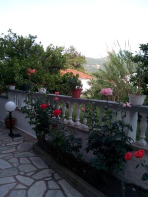 Sofia's Garden Studios