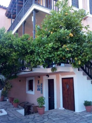 Sofia's Garden Studios