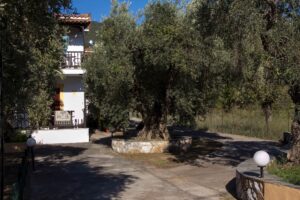 Skopelos Two Brothers Studios