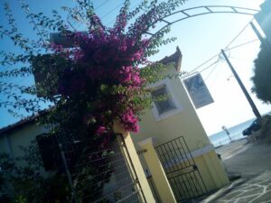 Skopelos Yades Panormos