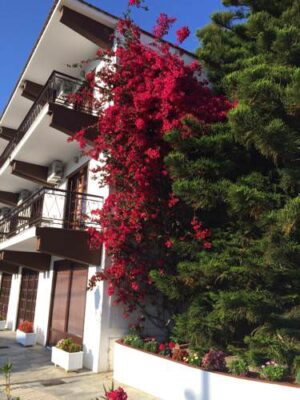 Σκόπελος Ξενοδοχείο Αμαλία, Ξενοδοχεία, Ξενοδοχεία Αμαλία, Χώρα, Λιμάνι, Αιγαίο Πέλαγος, Βόρειες Σποράδες, Ελλάδα