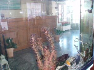 Σκόπελος Ξενοδοχείο Ελένη, Ξενοδοχεία, Ξενοδοχεία Ελένη, Χώρα, Λιμάνι, Βόρειες Σποράδες, Ελλάδα