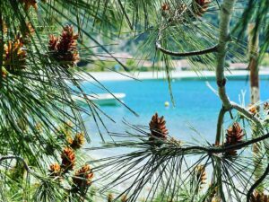 Skopelos Ionisi Boutique Hotel Panormos