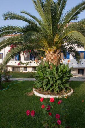 Skopelos Sunrise Village Hotel, Hotels Sunrise Village, Accommodation, Chora, Town, Port, Sporades, Greece