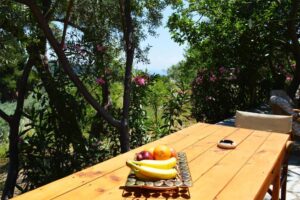 Skopelos Alikias Country House