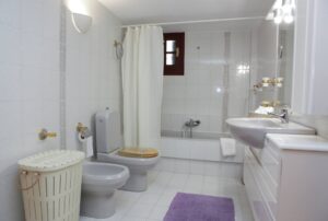 Skopelos Apsenti House