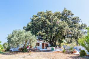 Skopelos Aria Home Stafylos