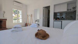 Skopelos Botanist Guest House Town
