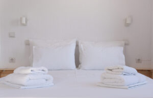 Skopelos Botanist Guest House Town