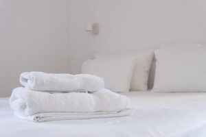 Skopelos Botanist Guest House Town