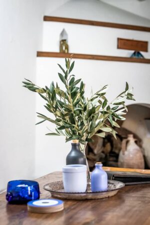 Skopelos Daphne House Town Chora