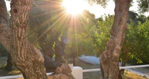 Skopelos Kalokairi Cottage