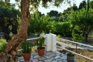 Skopelos Kalokairi Cottage